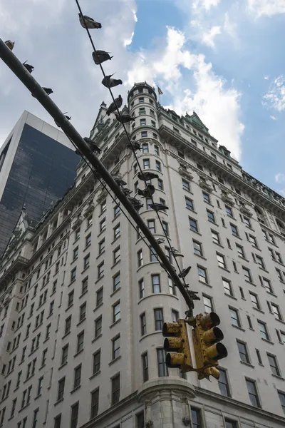 New york city traffic-light — Stockfoto