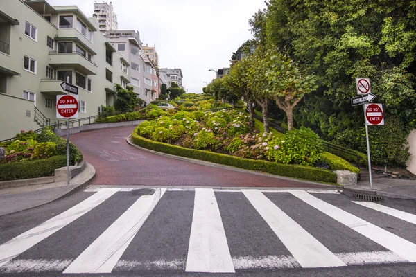 Lombard street, san francisco — Zdjęcie stockowe