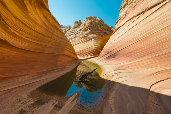 ayakkabın yağmur çöl arizona dalga, ABD sonra