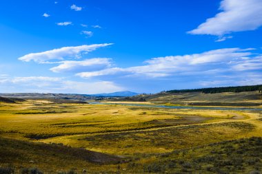 Yellowstone Milli Parkı