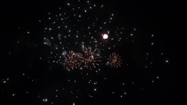 4k αταξινόμητα πλάνα από το Real Fireworks on Deep Black Background Sky on Fireworks festival show πριν, Πρωτοχρονιά 2022 — Αρχείο Βίντεο