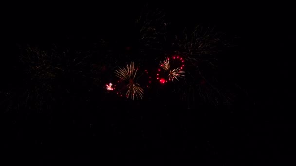 Abstract kleurrijk vuurwerk op nachtelijke hemel, nieuwjaar en kerstavond 2022, 4k hoogwaardig beeldmateriaal — Stockvideo