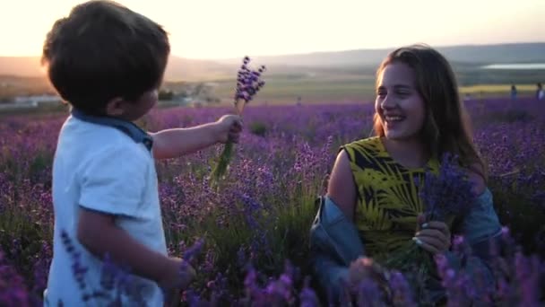 Młody chłopiec dać kwiaty pięknej młodej kobiety rolnik wącha kilka kwiatów lawendy na polu na farmie lawendy na zachód słońca — Wideo stockowe