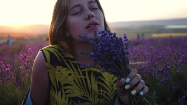 Красивая молодая женщина фермер нюхает кучу цветов лаванды на поле на ферме лаванды на закате — стоковое видео