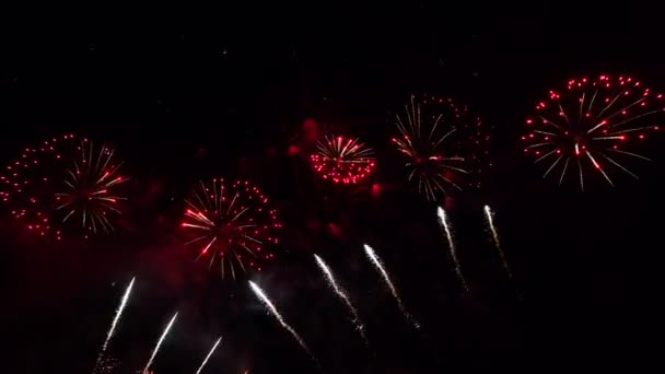 Fogos de artifício coloridos reais no céu noturno profundo, celebração do dia da independência de 4 de julho 2022, imagens de alta qualidade 4k — Vídeo de Stock