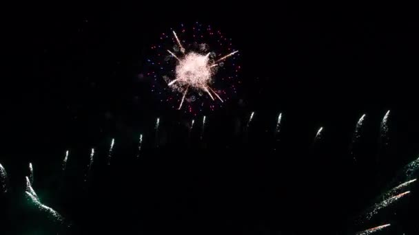 Abstract kleurrijk vuurwerk op nachtelijke hemel, nieuwjaar en kerstavond 2022, 4k hoogwaardig beeldmateriaal — Stockvideo