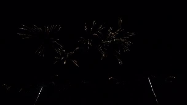 Real Abstract Vuurwerk display viering, 4k hoge kwaliteit hdr beeldmateriaal — Stockvideo