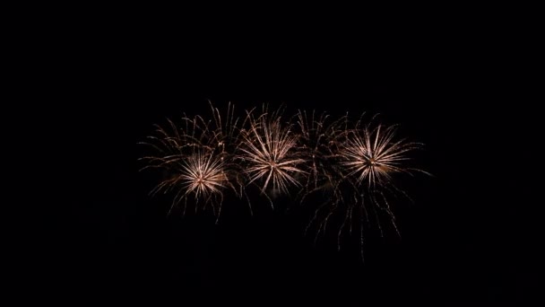 Fogos de artifício reais exibir celebração. Fogos de artifício abstratos coloridos em resolução 4K para o Ano Novo 2022 — Vídeo de Stock