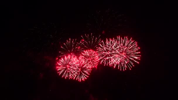 Real Abstract Fogos de artifício exibir celebração, 4k alta qualidade hdr footage — Vídeo de Stock