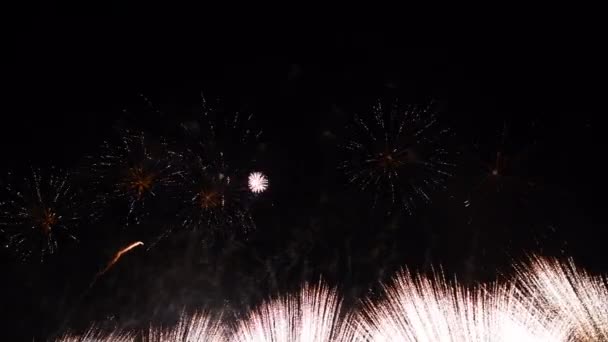 Fuegos artificiales en el cielo nocturno — Vídeos de Stock