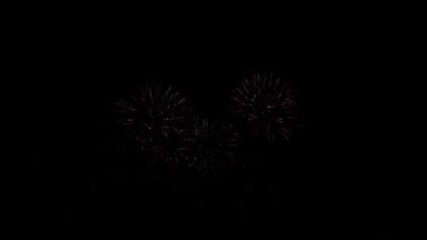 Skutečná oslava ohňostroje. Barevný abstraktní ohňostroj v rozlišení 4K pro nový rok 2022 — Stock video