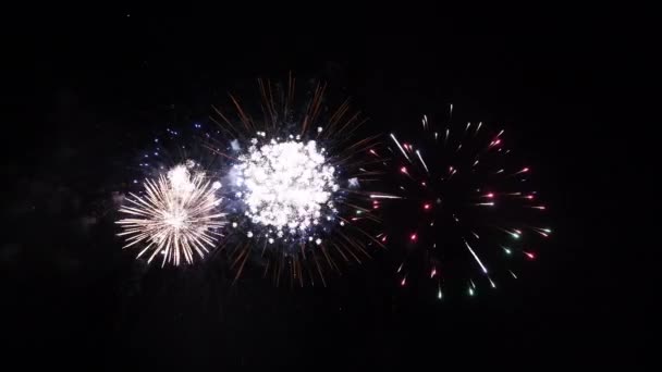 Boucle sans couture de longue date de véritables feux d'artifice abstraits et colorés au ciel noir pendant la fête nationale, fête du Nouvel An 2022 — Video