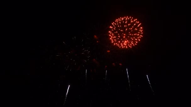 Πραγματική Αφηρημένη εορτασμός επίδειξης πυροτεχνημάτων, 4k υψηλής ποιότητας υλικό hdr — Αρχείο Βίντεο
