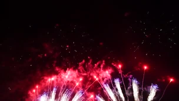 Vuurwerk display 's nachts hemel — Stockvideo