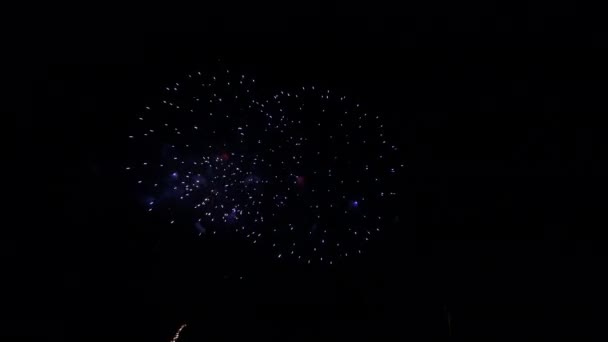 Prawdziwe fajerwerki na głębokim czarnym tle Sky na pokaz festiwalowy fajerwerki przed dniem niepodległości 4 lipca — Wideo stockowe
