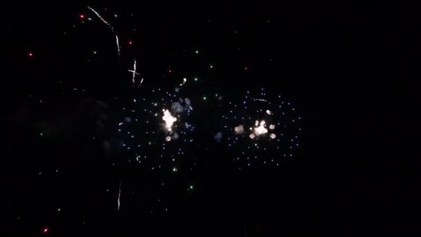 国民の祝日、新年会中の黒い背景空で本物の抽象的なカラフルな花火大会の長い時間シームレスなループ2022 — ストック動画