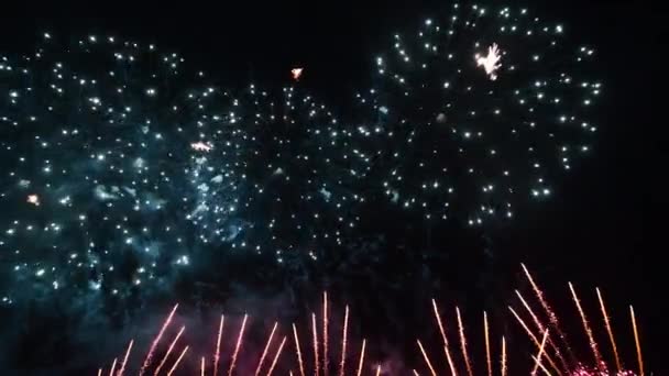 밤하늘에 불꽃놀이가 펼쳐져 있다 — 비디오