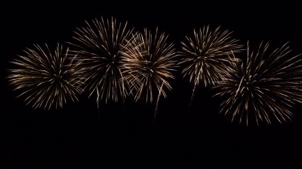 Μεγάλο χρονικό διάστημα αδιάλειπτη βρόχο της πραγματικής πολύχρωμα πυροτεχνήματα Φεστιβάλ οθόνη τη νύχτα κατά τη διάρκεια της εθνικής εορτής, το νέο έτος 2022 κόμμα — Αρχείο Βίντεο