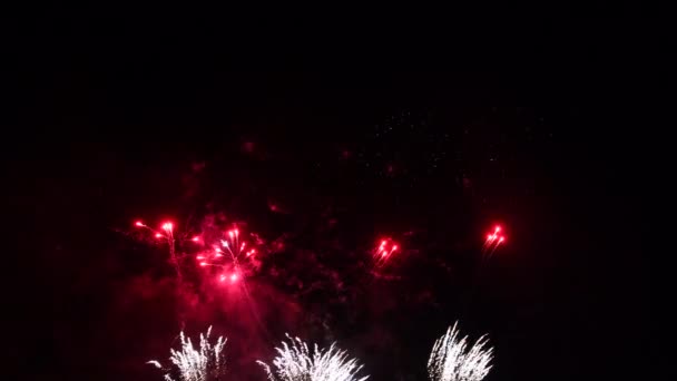 Feux d'artifice au ciel nocturne — Video