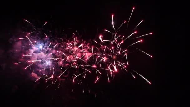 7月4日独立日，烟花节前夕， 《深黑背景天空的真正烟花》在烟花节上上演 — 图库视频影像