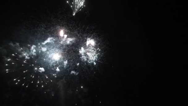 Valódi tűzijáték a Deep Black Háttér Sky on Fireworks fesztivál show előtt függetlenségi nap július 4-én — Stock videók