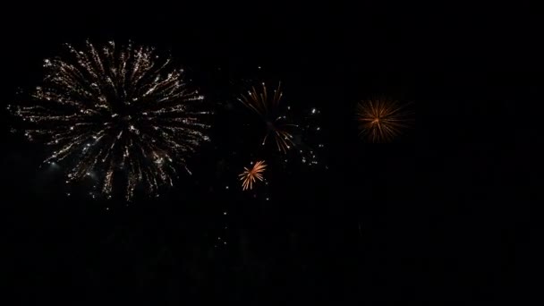 Riktiga fyrverkerier på djup svart bakgrund Sky på fyrverkerier festival show före självständighetsdagen den 4 juli — Stockvideo