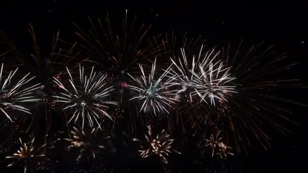 4K longo tempo sem costura loop de verdadeiro festival de fogos de artifício coloridos na exposição do céu à noite durante as férias nacionais, festa de ano novo 2022 — Vídeo de Stock