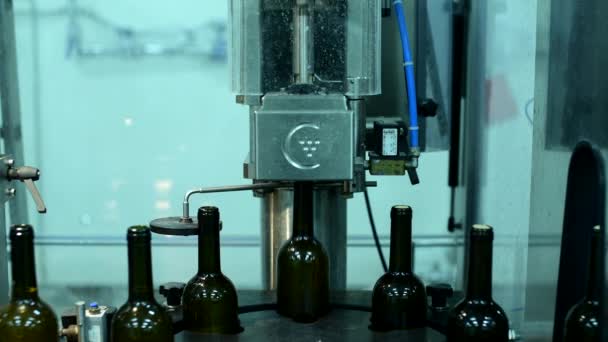 Конвейер с винными бутылками на винном заводе производство белого вина, мытье и наполнение бутылок — стоковое видео