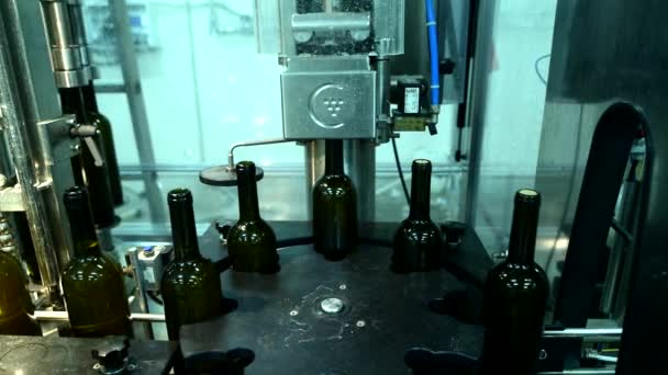 Przenośnik z butelkami wina w fabryce wina produkcja białego wina, mycie i napełnianie butelek — Wideo stockowe