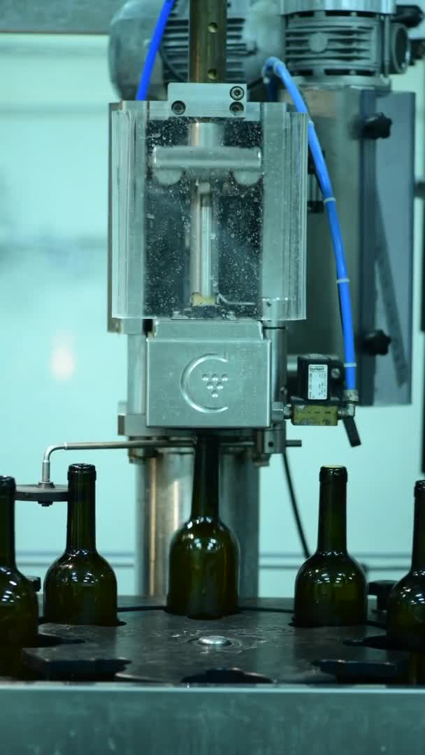 Convoyeur avec bouteilles de vin à l'usine de vin production de vin blanc, lavage et remplissage des bouteilles — Video