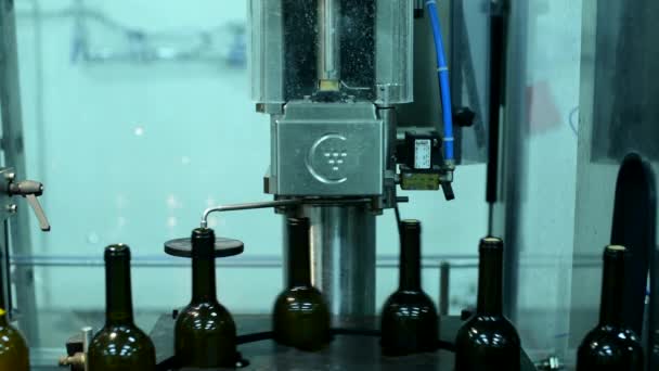 Förderband mit Weinflaschen in der Weinfabrik Weißweinproduktion, Flaschenwaschen und Abfüllen — Stockvideo