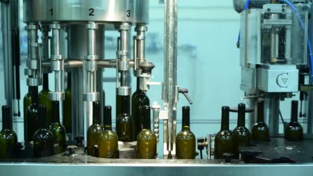 Конвеєр з пляшками вина на винній фабриці виробництво білого вина, миття пляшок та наповнення — стокове відео