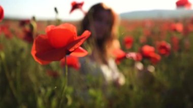 Ön planda haşhaş tarlası var, ve arka planda kızıl saçlı genç bir kız, beyaz bir gömlekle saçlarını parmaklıyor.