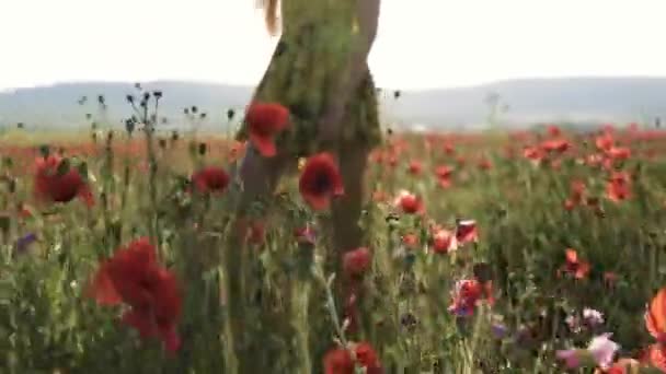丘の景色と空の景色を通してケシ畑の黄色のドレスを着た若い女の子のシルエット — ストック動画