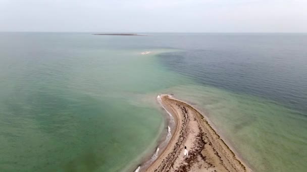 Brud på obebodd sand ö i havet rev, 4k drönare hög ograderad video — Stockvideo