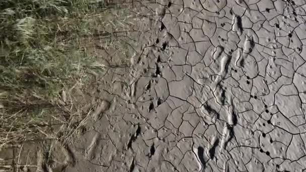 Vista dall'alto riva asciutta piena di argilla di mare prosciugato, riscaldamento globale e concetto di siccità. Clima ventoso paesaggio desertico con tracce umane e animali su argilla secca. 4k di alta qualità filmati droni cinematografici — Video Stock