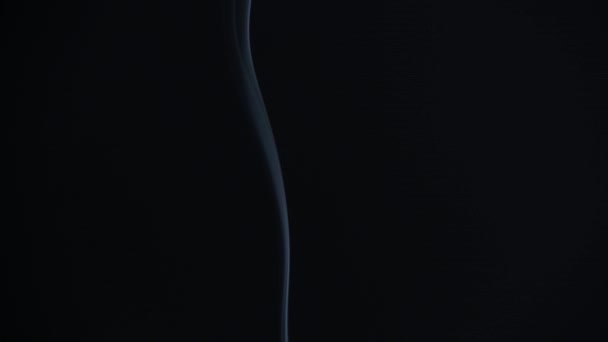 Μαλακή ομίχλη αργή κίνηση σε μαύρο φόντο. Ρεαλιστική ατμοσφαιρική γκρι Καπνός στο φως στούντιο. Το λευκό άρωμα ανεβαίνει σιγά-σιγά. Αφηρημένη λωρίδα καψίματος. Φαινόμενο ροής καπνού βίντεο 4k — Αρχείο Βίντεο