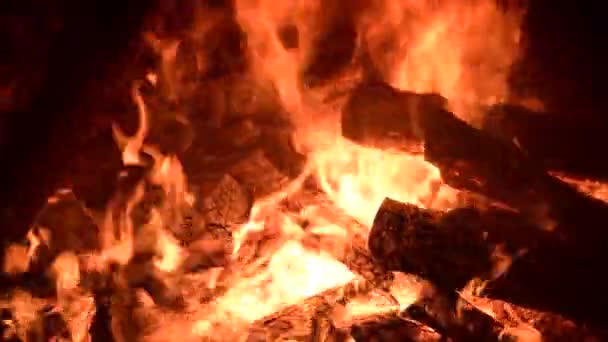Nahaufnahme, Flammen aus dem Feuer. Nächtliches Lagerfeuer, Baumstämme brennen, Funken fliegen. 4k, ProRes — Stockvideo