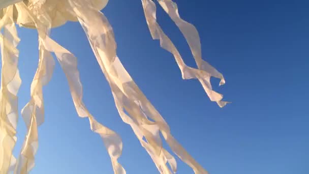 Manhã Sol Iluminando Quarto Sombra Fundo Sobreposições Acenando Tule Branco — Vídeo de Stock