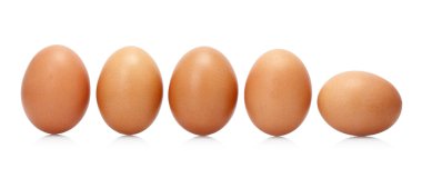 Beyaz üzerinde izole yumurtalar