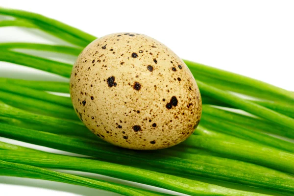 Huevo de codorniz en verduras aisladas en blanco — Foto de Stock