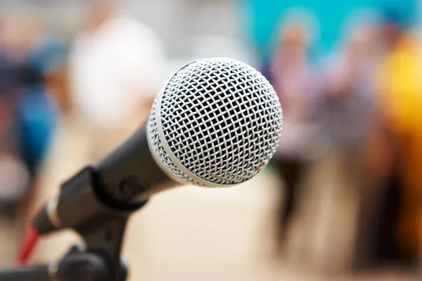 profesyonel mikrofon