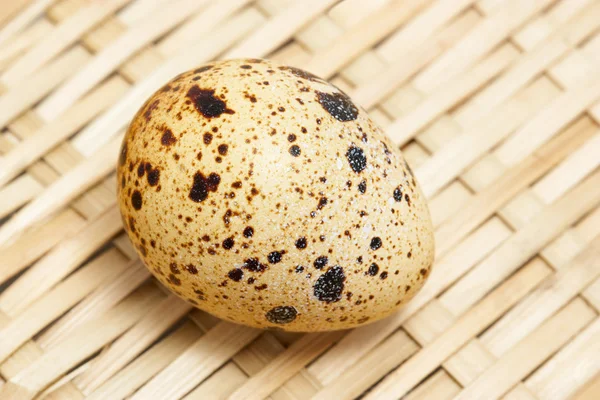 Quail egg — Stock Photo, Image