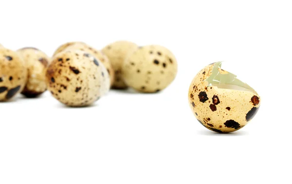 Broken quail egg isolated on white — Stock Photo, Image