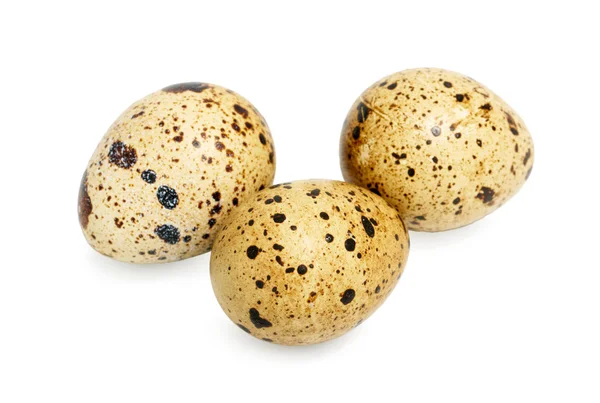 Quail eggs — Stock Photo, Image