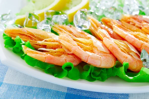 Shrimps — Stock Photo, Image