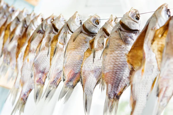 Pescado seco — Foto de Stock