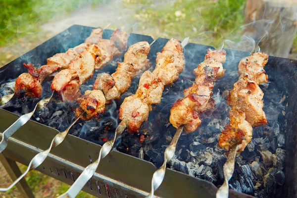 Shish Kebab — Stock Photo, Image
