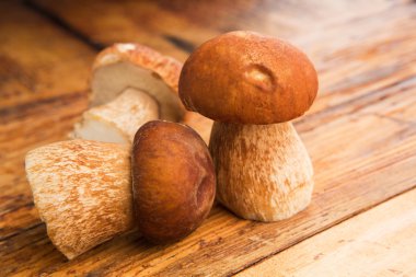 Porcini mantar