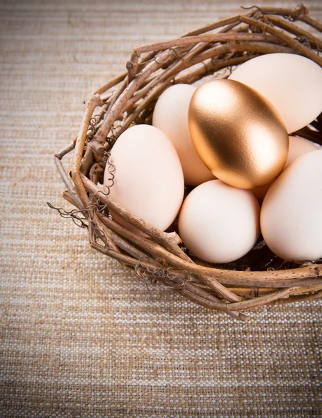 Gold Egg — Stock Photo, Image